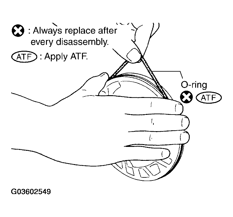 G03602549