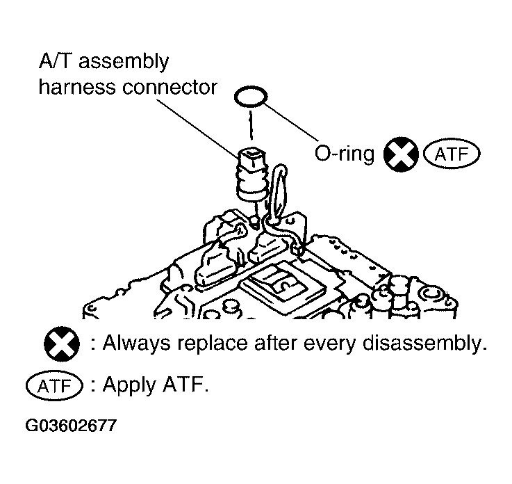 G03602677