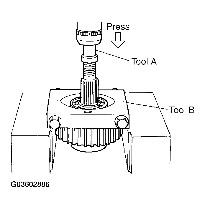 G03602886