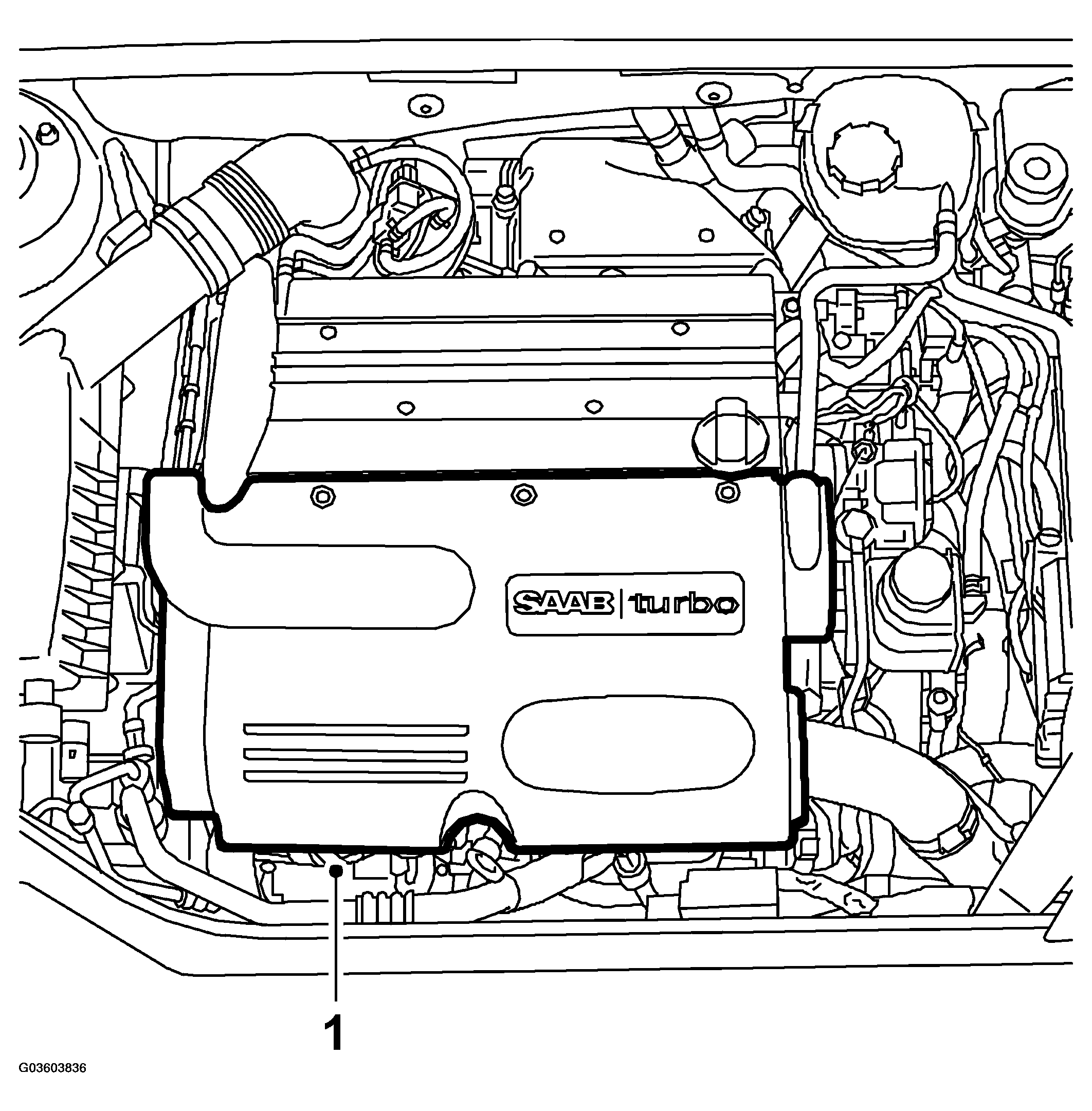 G03603836