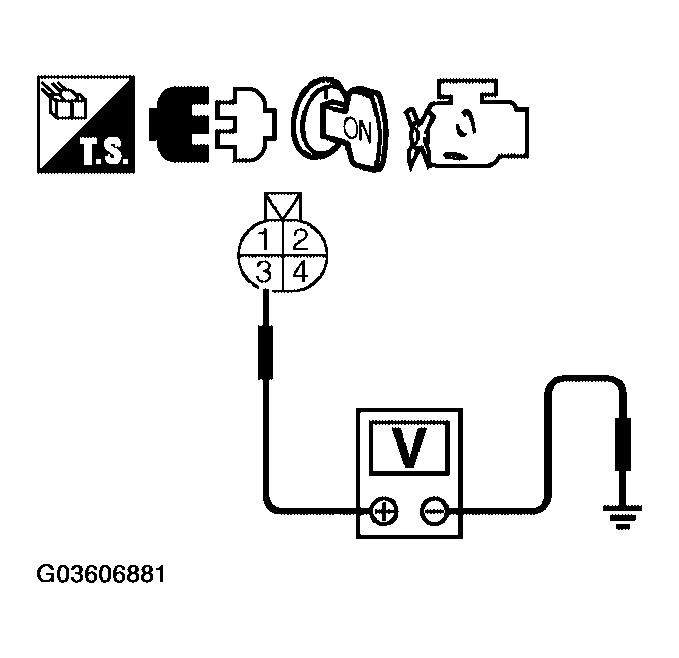 G03606881
