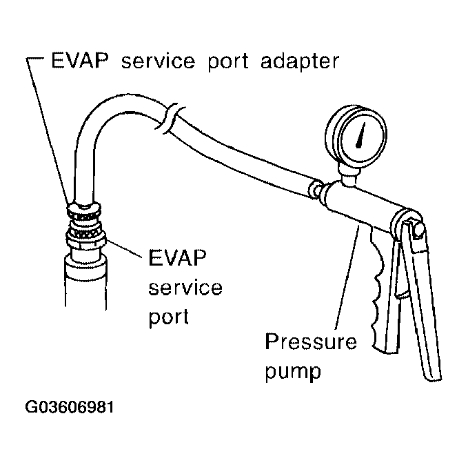 G03606981