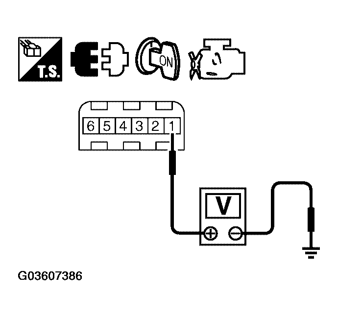 G03607386