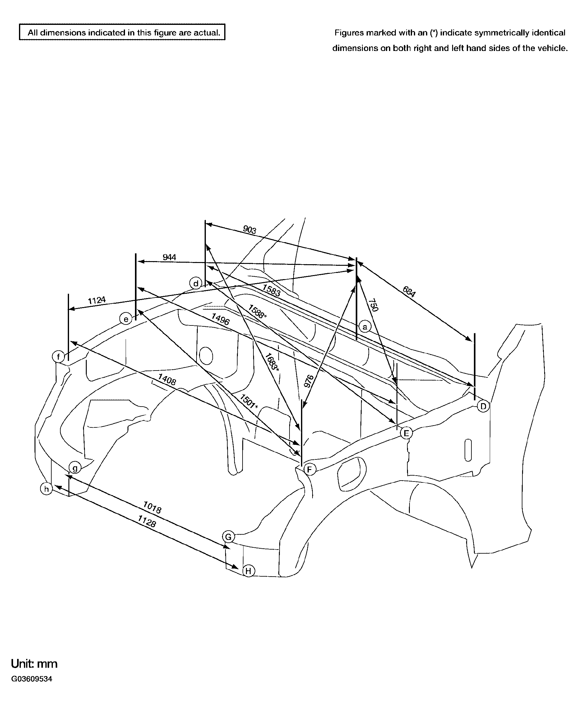 G03609534
