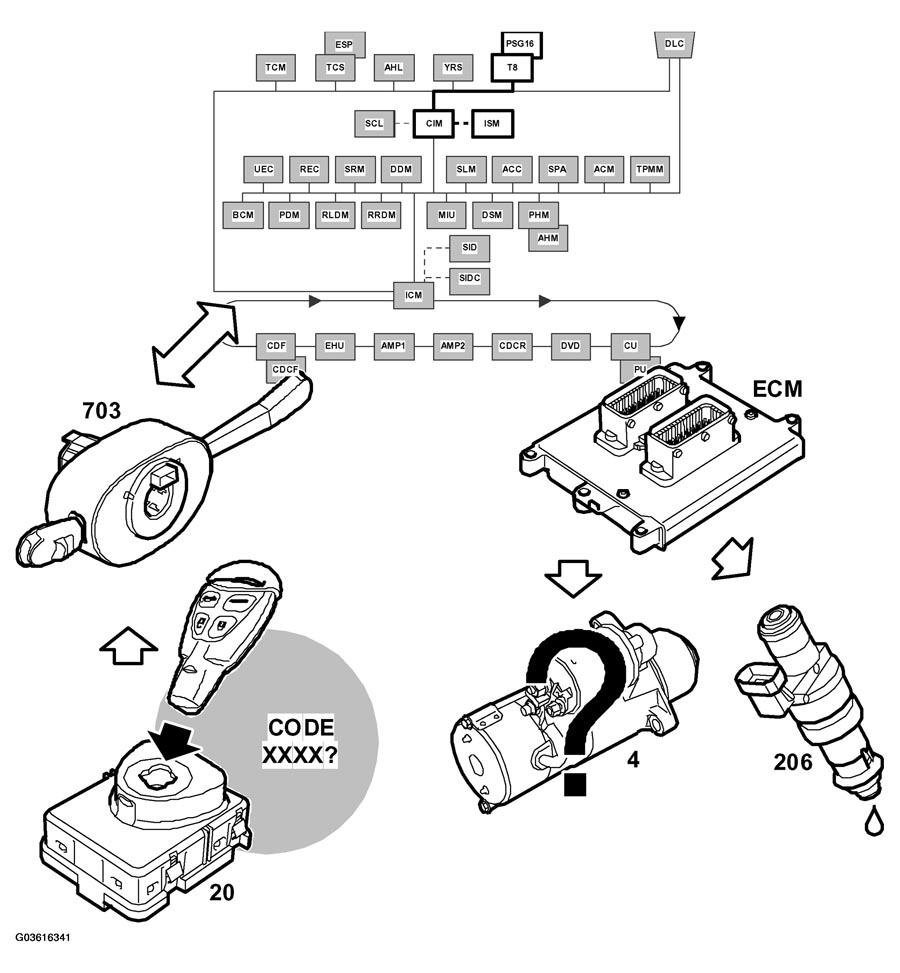 G03616341
