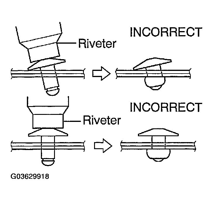 G03629918