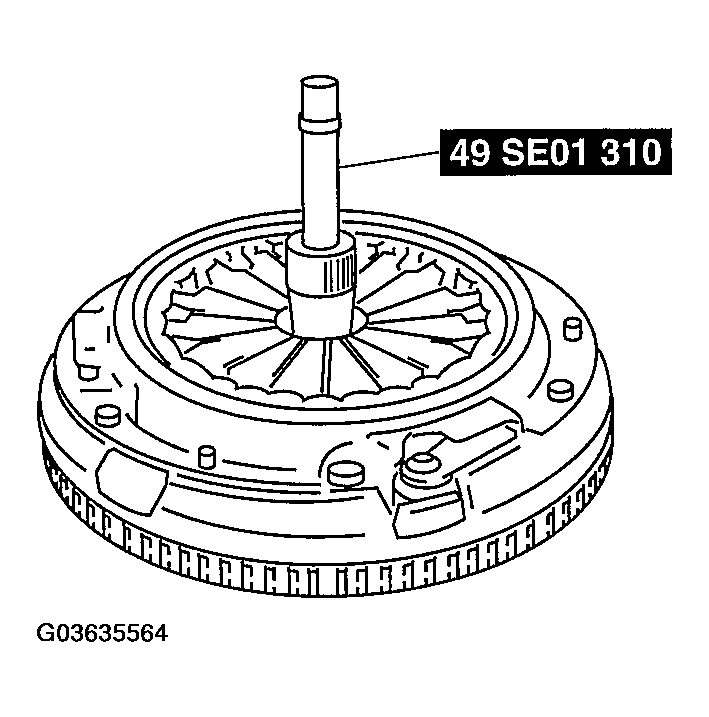 G03635564