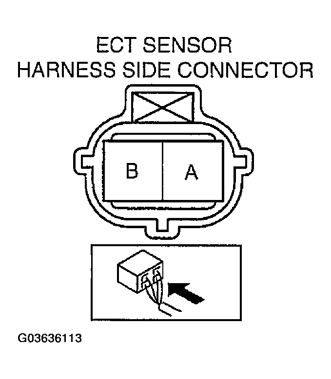 G03636113