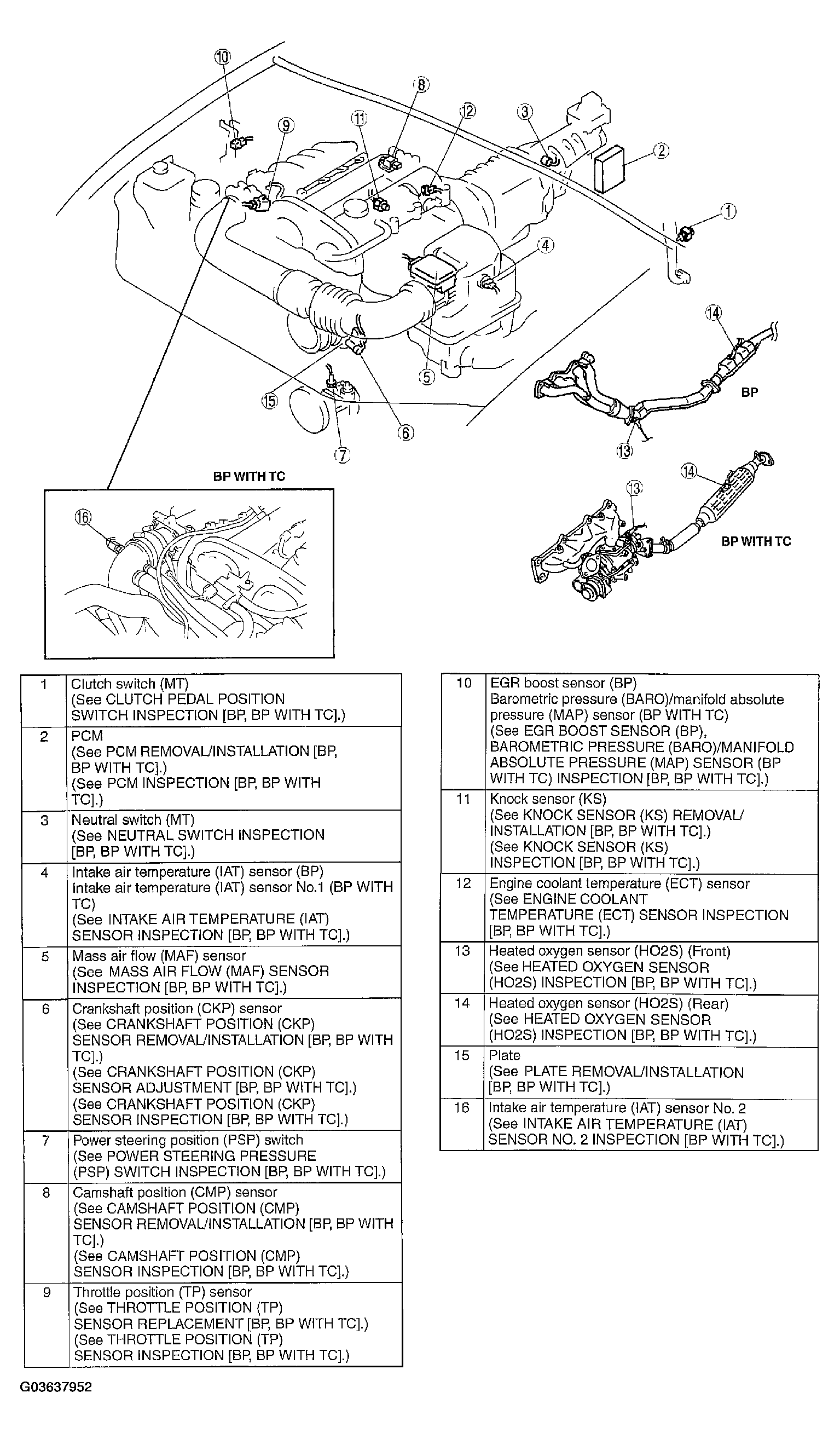 G03637952