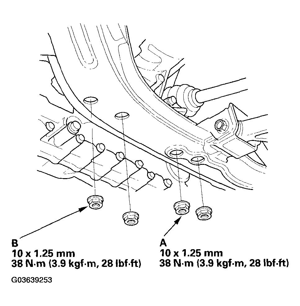 G03639253