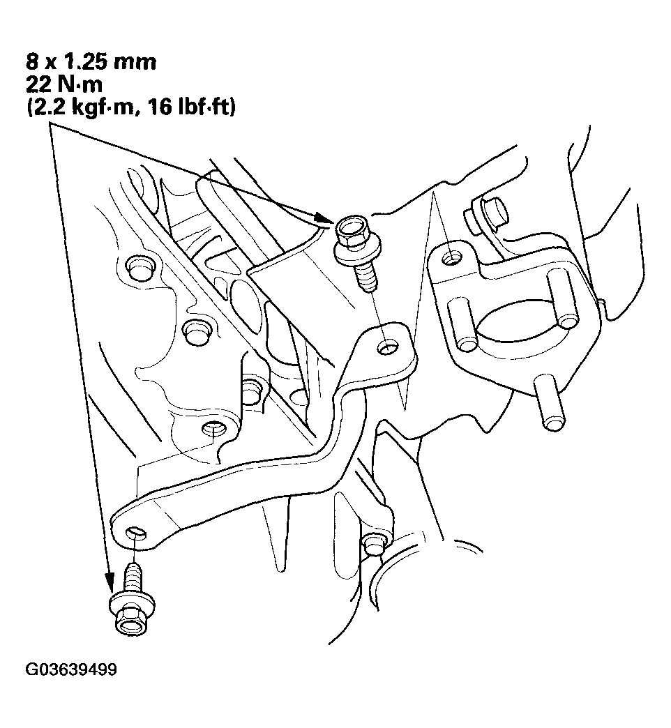G03639499