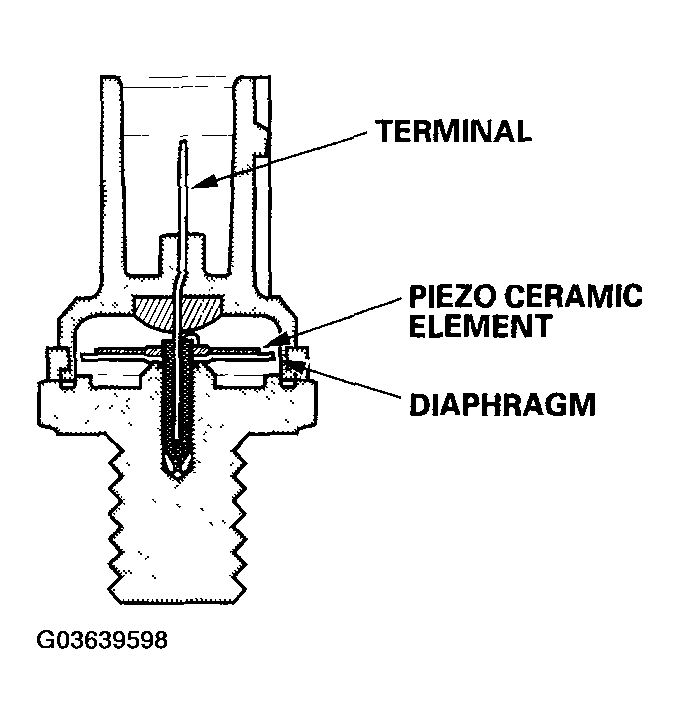 G03639598