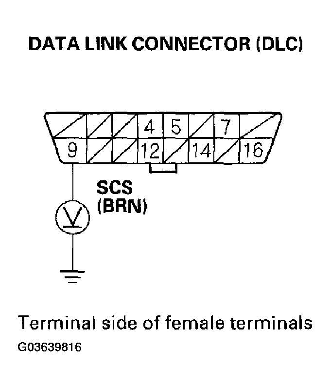 G03639816