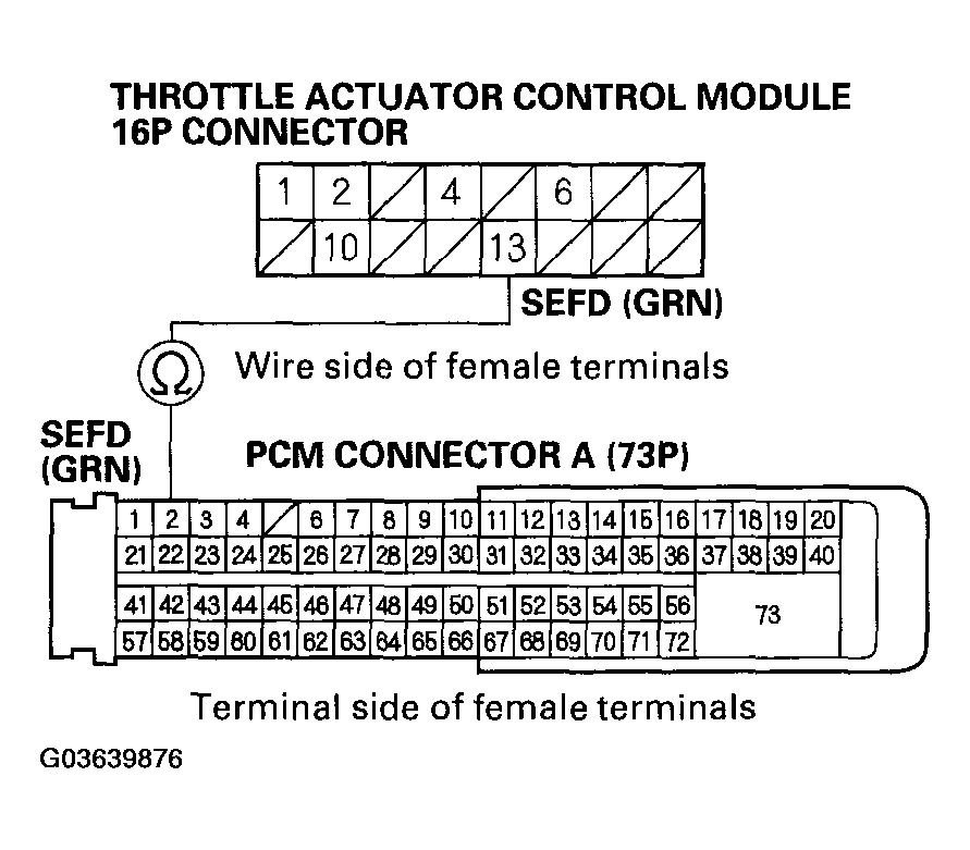 G03639876