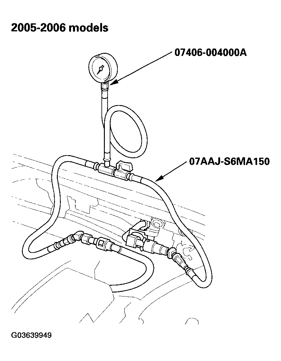 G03639949