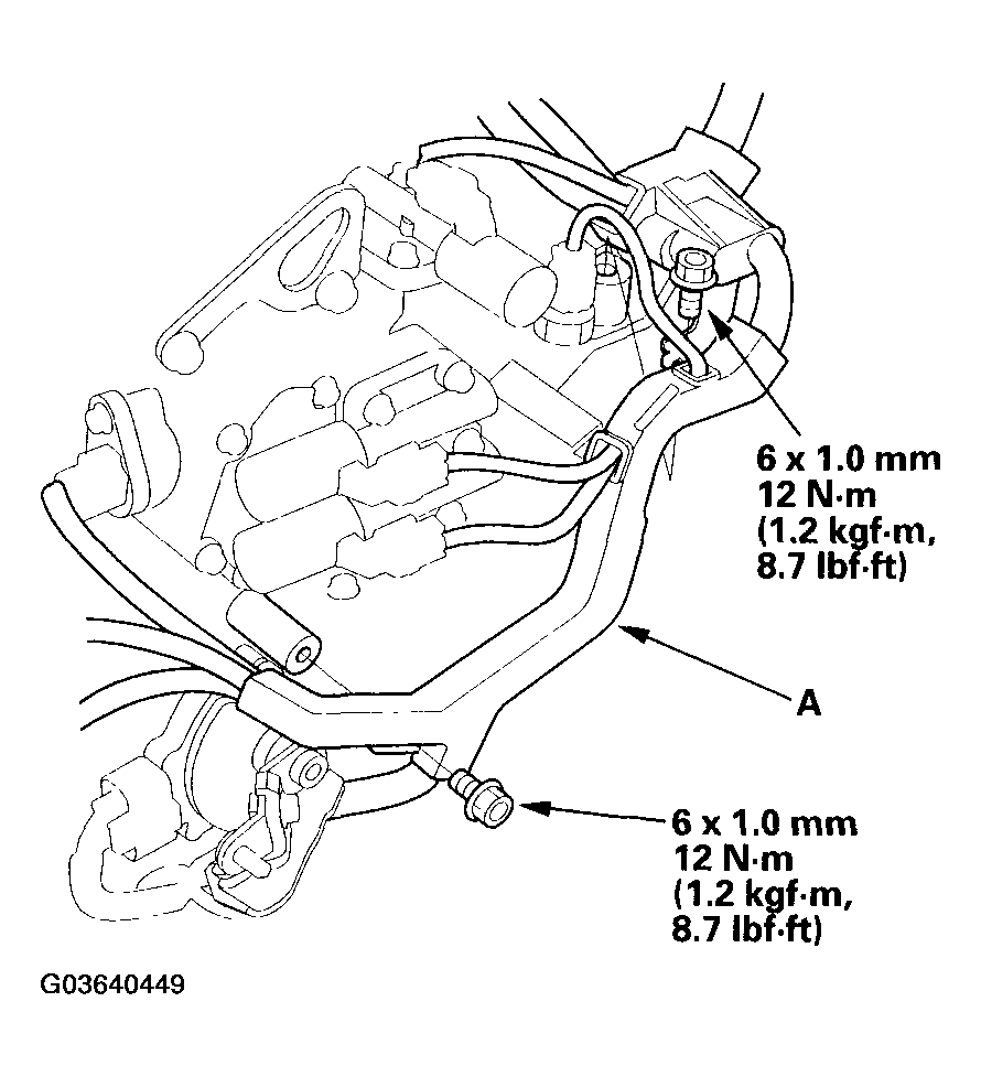 G03640449