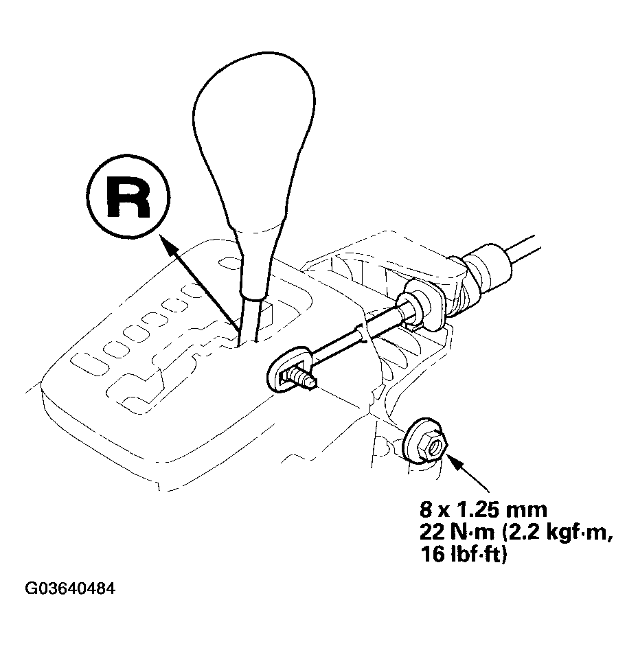G03640484