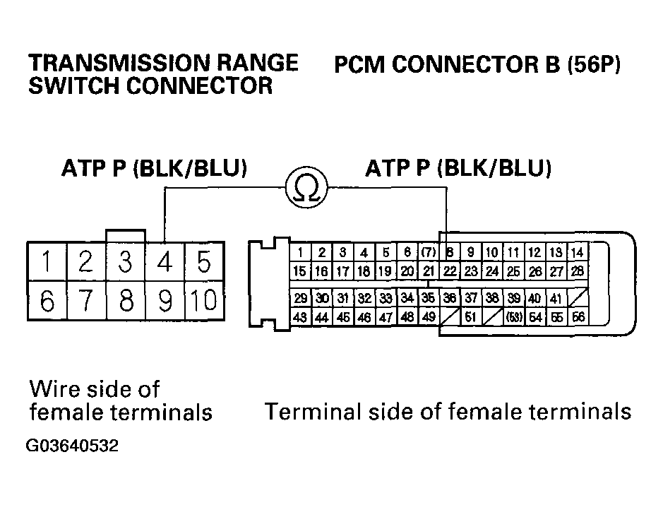 G03640532