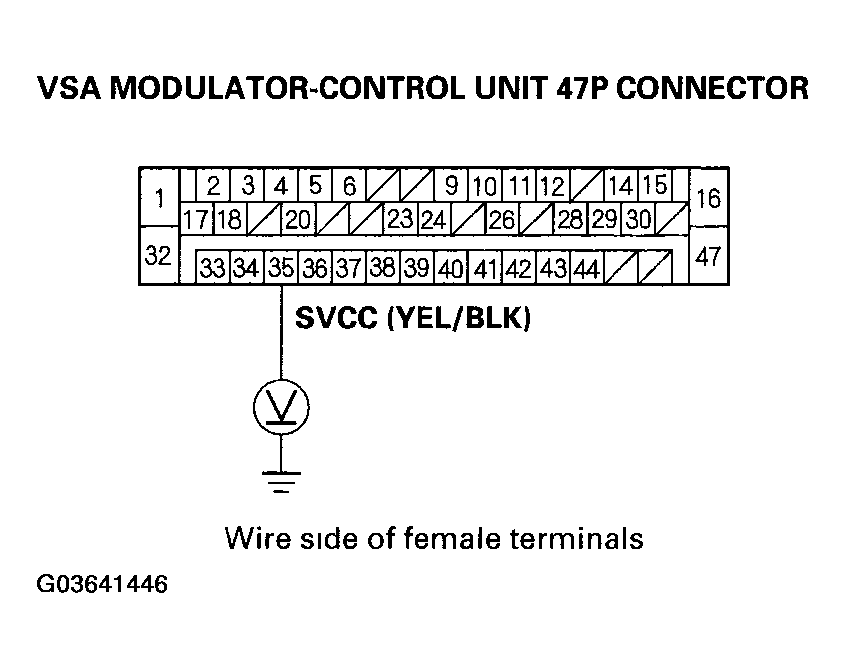 G03641446