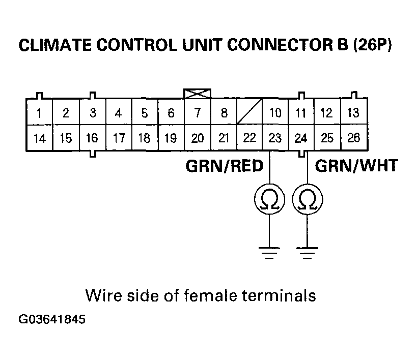 G03641845