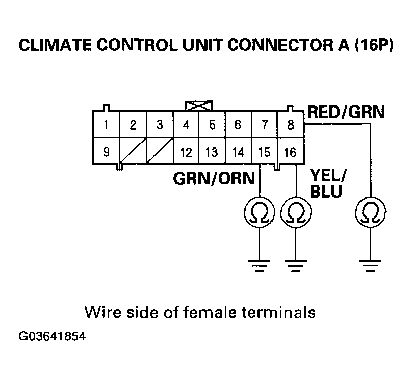 G03641854