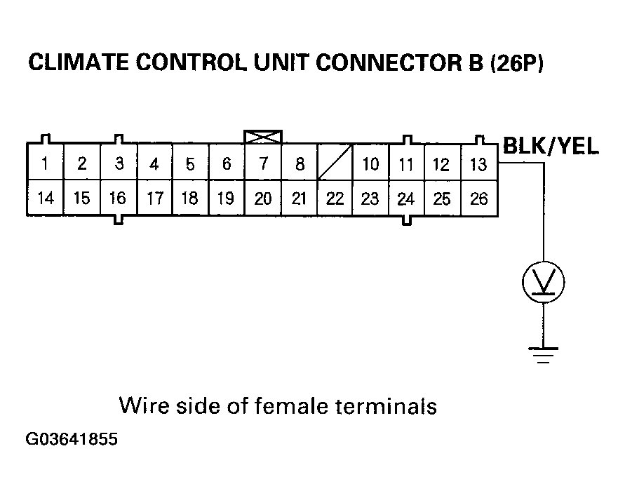 G03641855