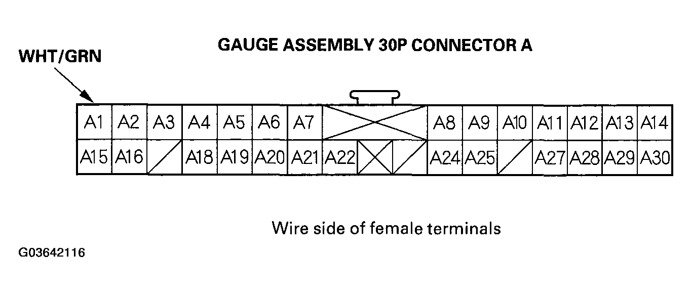 G03642116