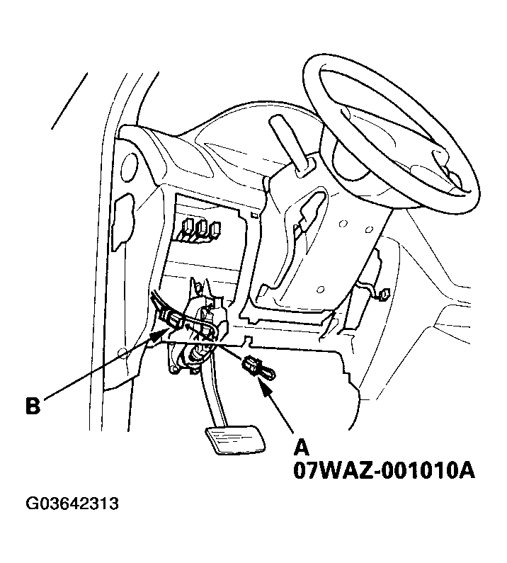 G03642313