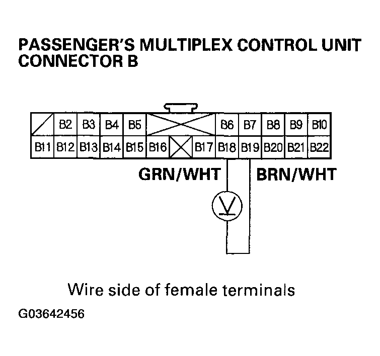 G03642456