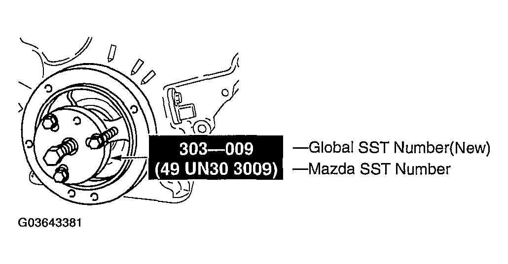 G03643381