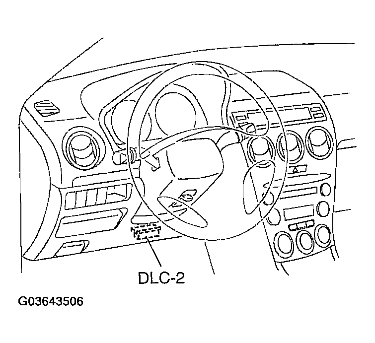 G03643506