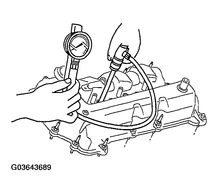 G03643689