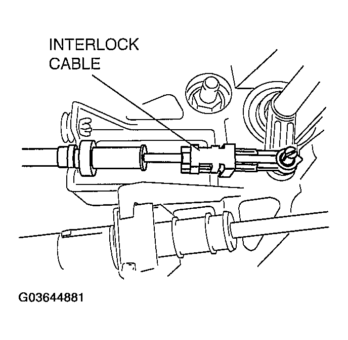 G03644881