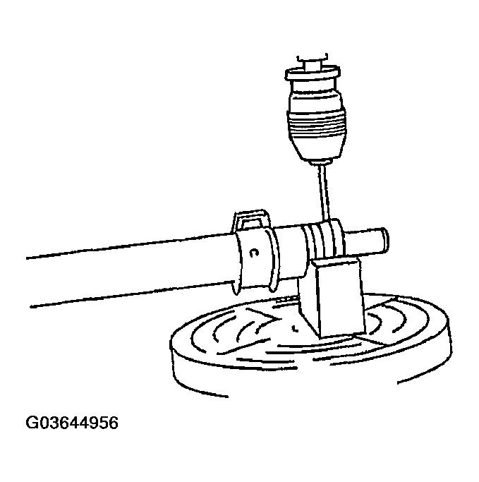 G03644956