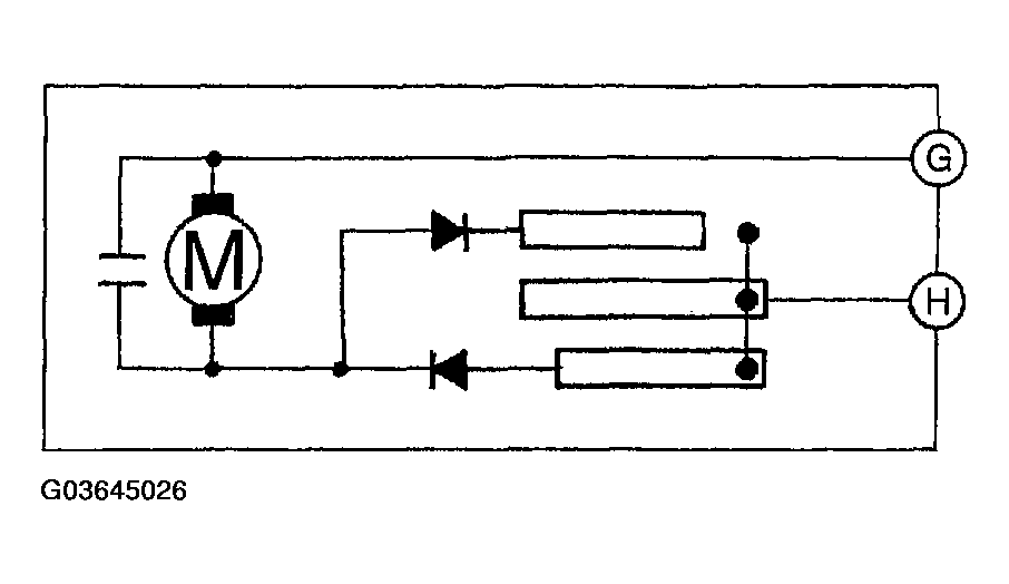 G03645026