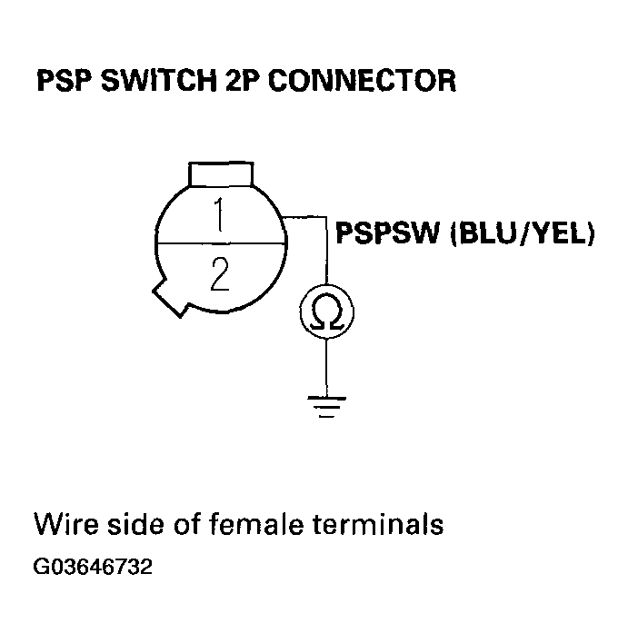 G03646732