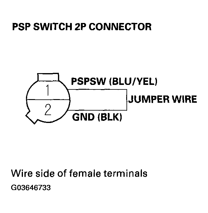 G03646733