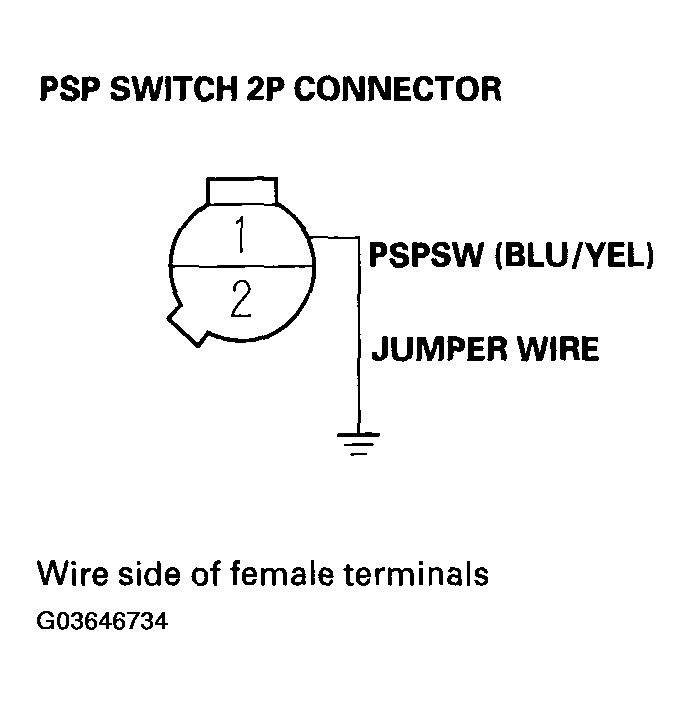 G03646734