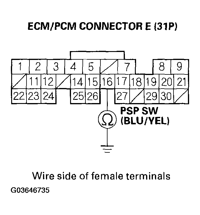 G03646735