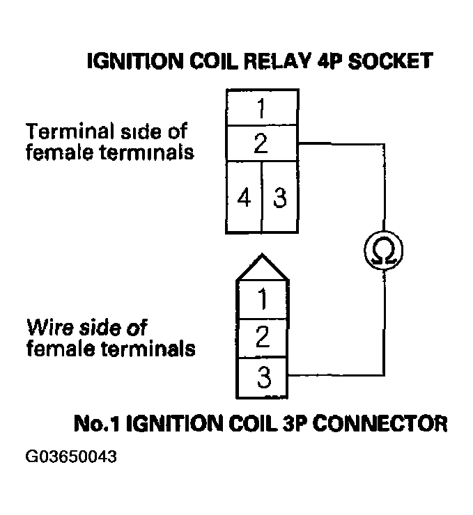 G03650043
