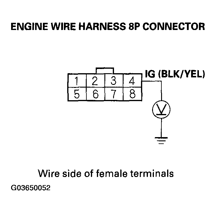 G03650052
