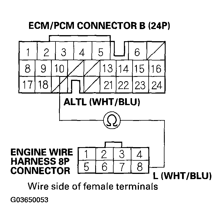 G03650053
