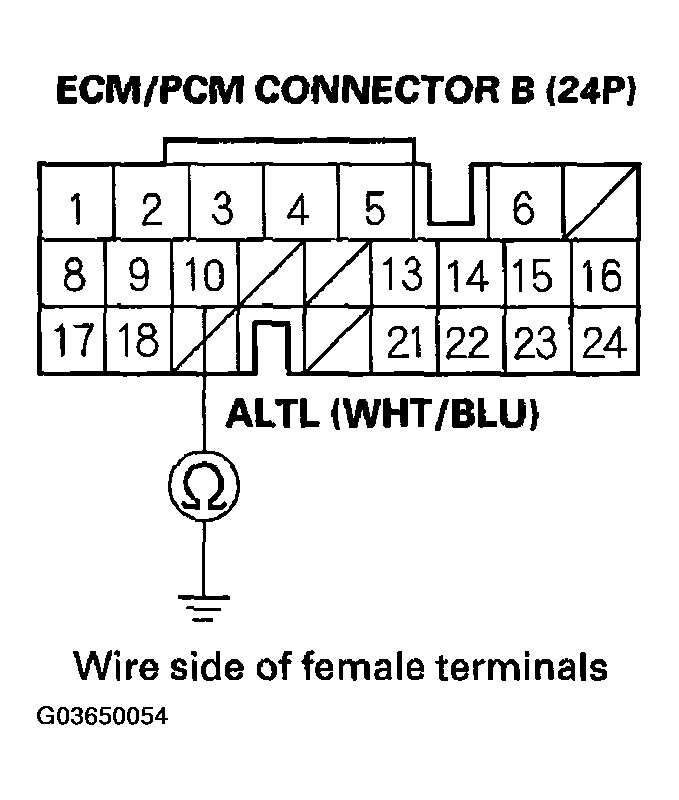 G03650054