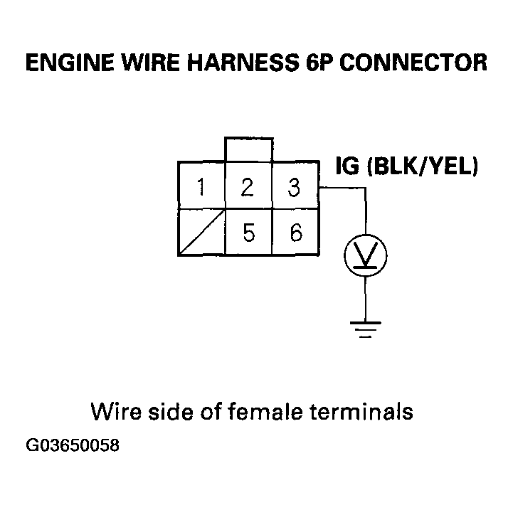G03650058
