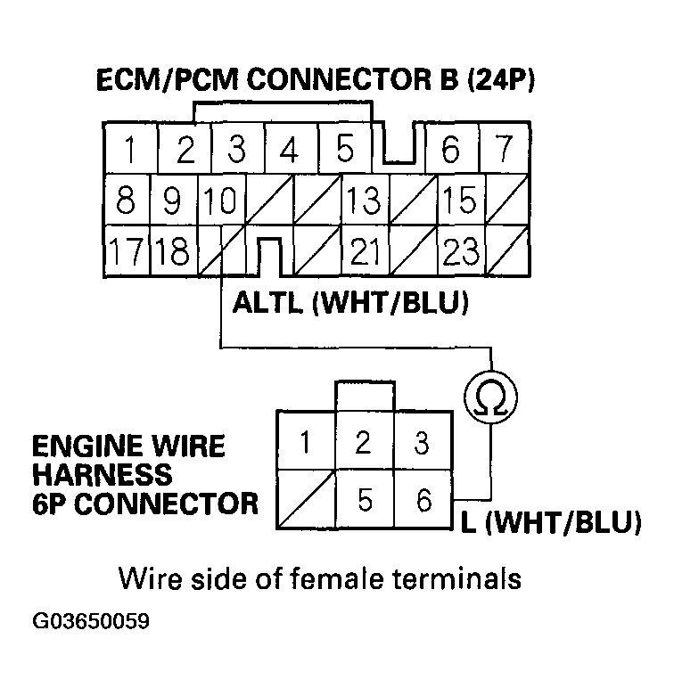 G03650059