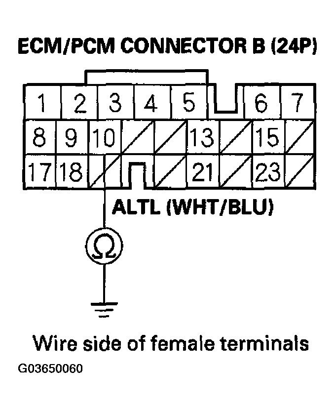 G03650060