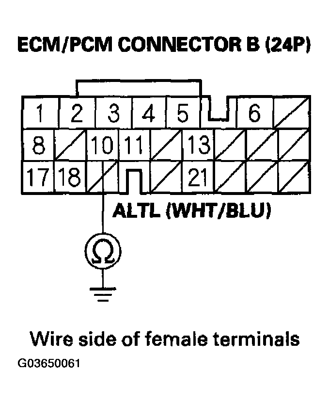 G03650061