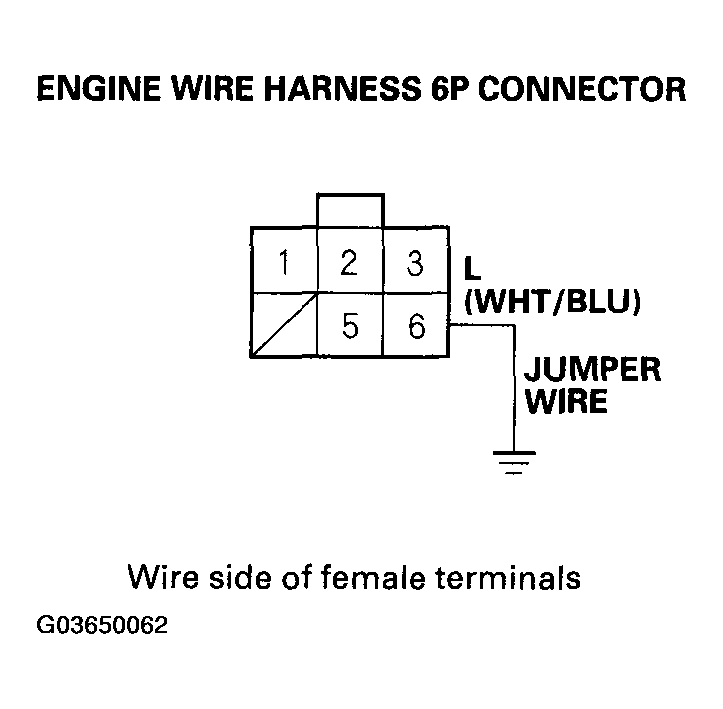 G03650062