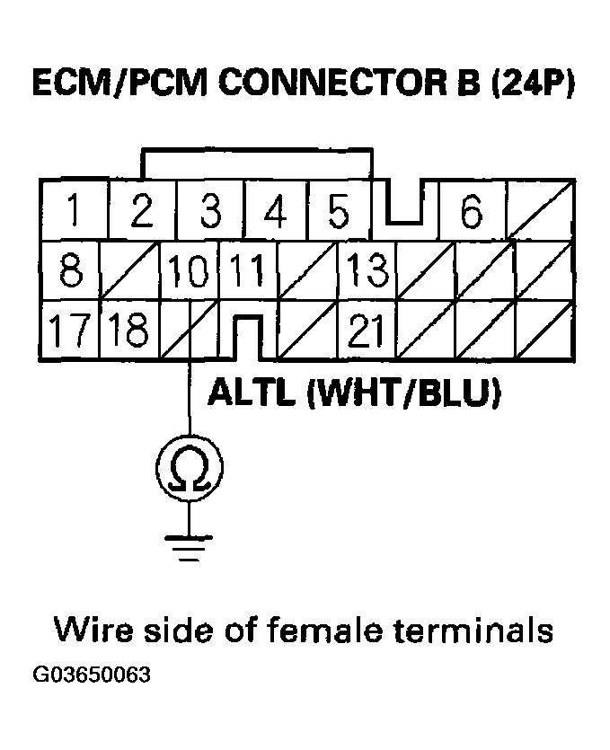 G03650063