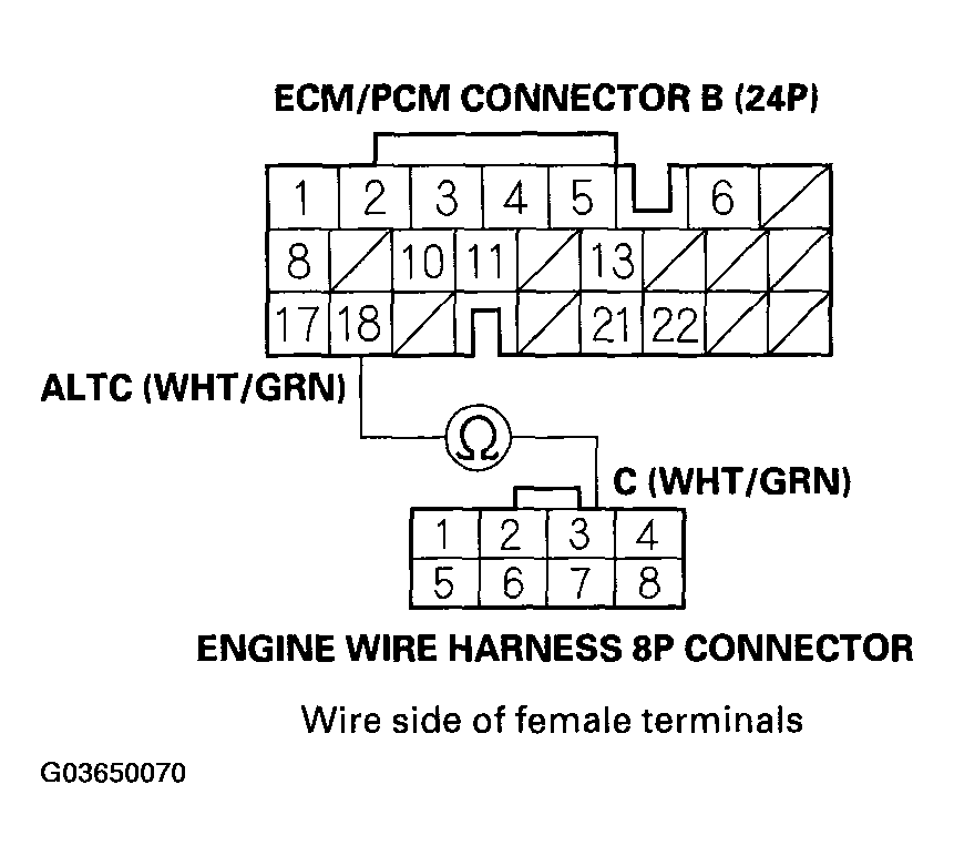 G03650070